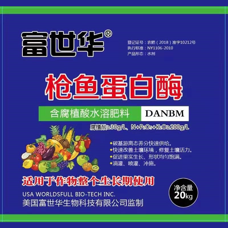 枪鱼蛋白酶